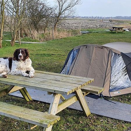 Kornwerd Basic 2P Tent Sotterum酒店 外观 照片