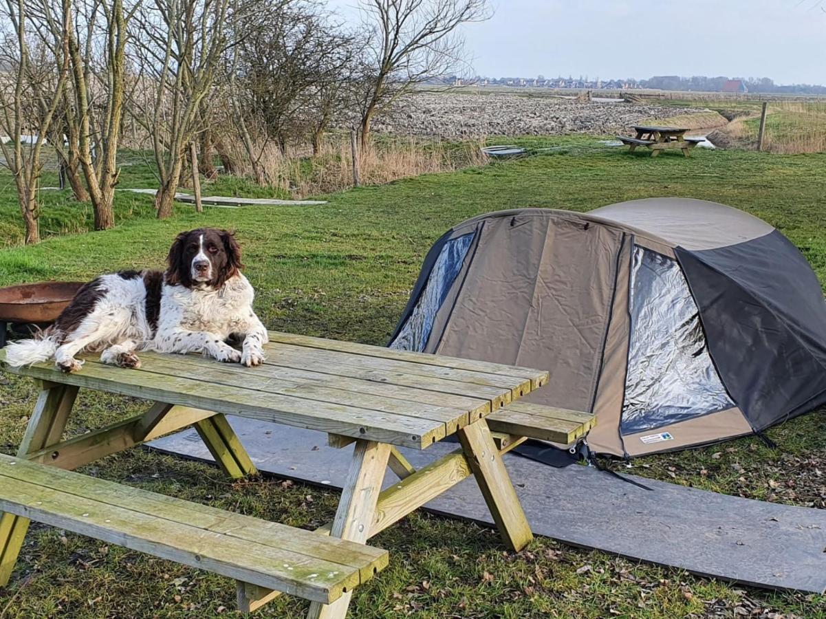 Kornwerd Basic 2P Tent Sotterum酒店 外观 照片